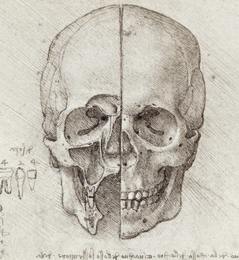 人物の顔を立体的にデッサンする方法 | DESSIN LABORATORY