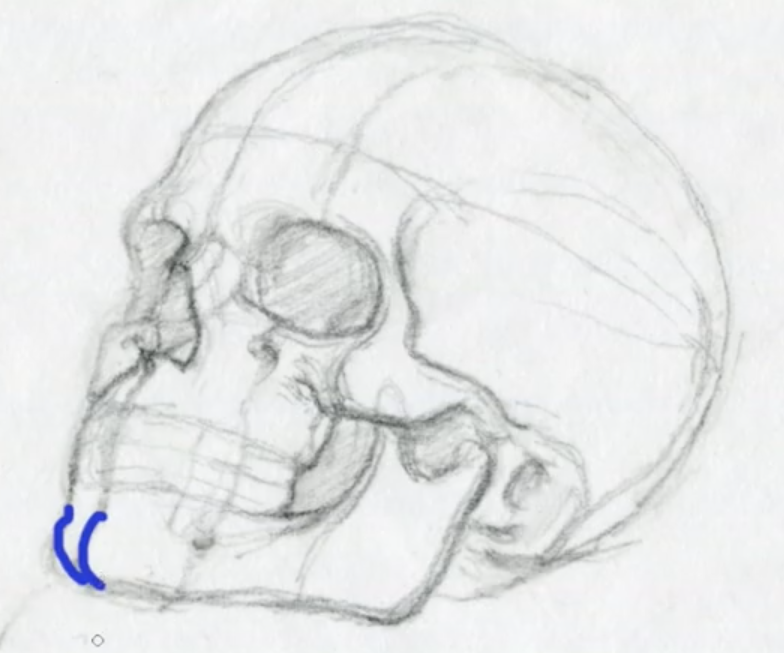 顔の描き方７つのポイント,デッサン,How to draw a face, 7 points