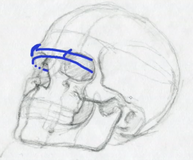 画力向上のためのスケッチの描き方のコツをイラスト解説！物を観察するテクニックや鉛筆の濃淡を意識したカゲのつけ方をご紹介！｜お絵かき図鑑